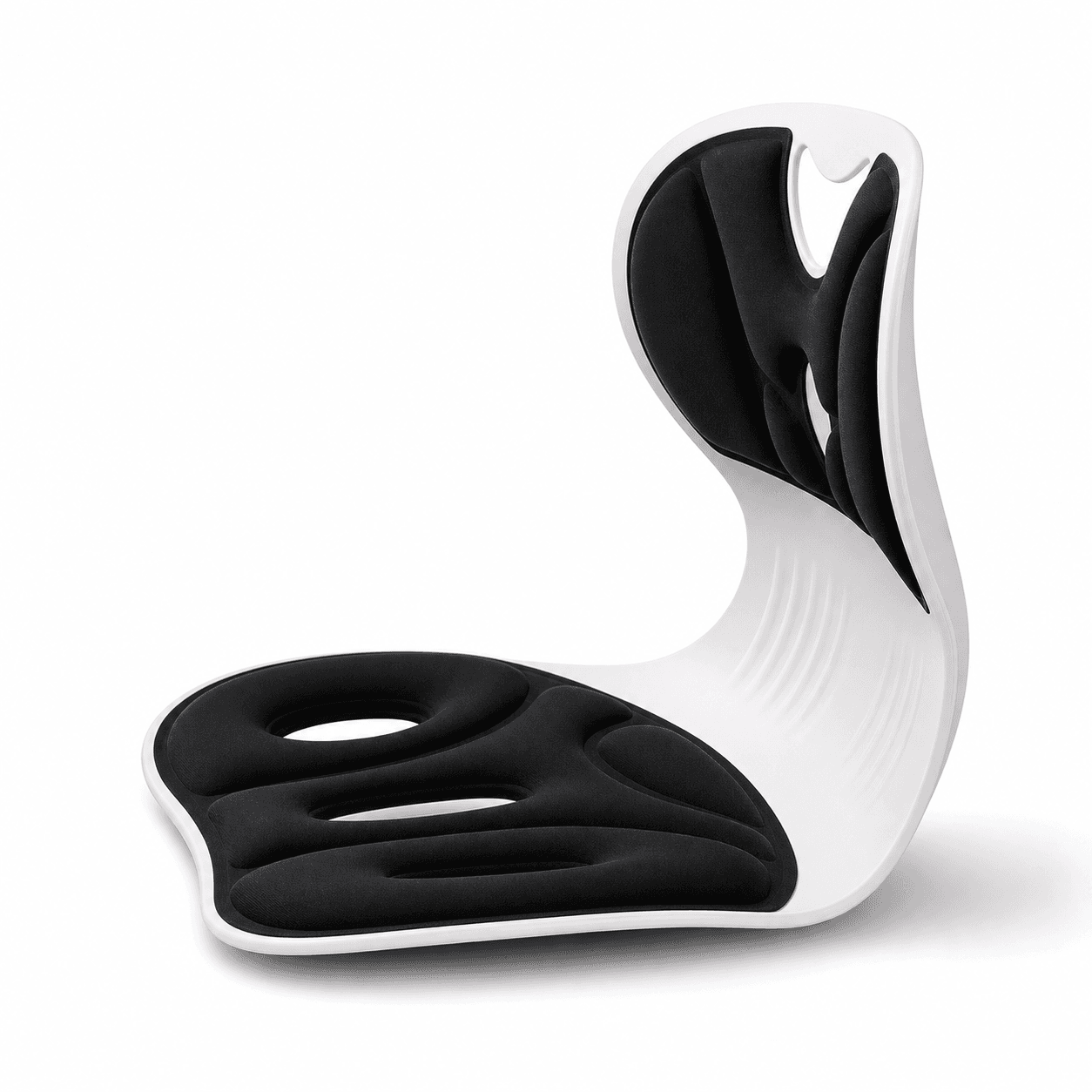Portable ergonomic back support with padded shell